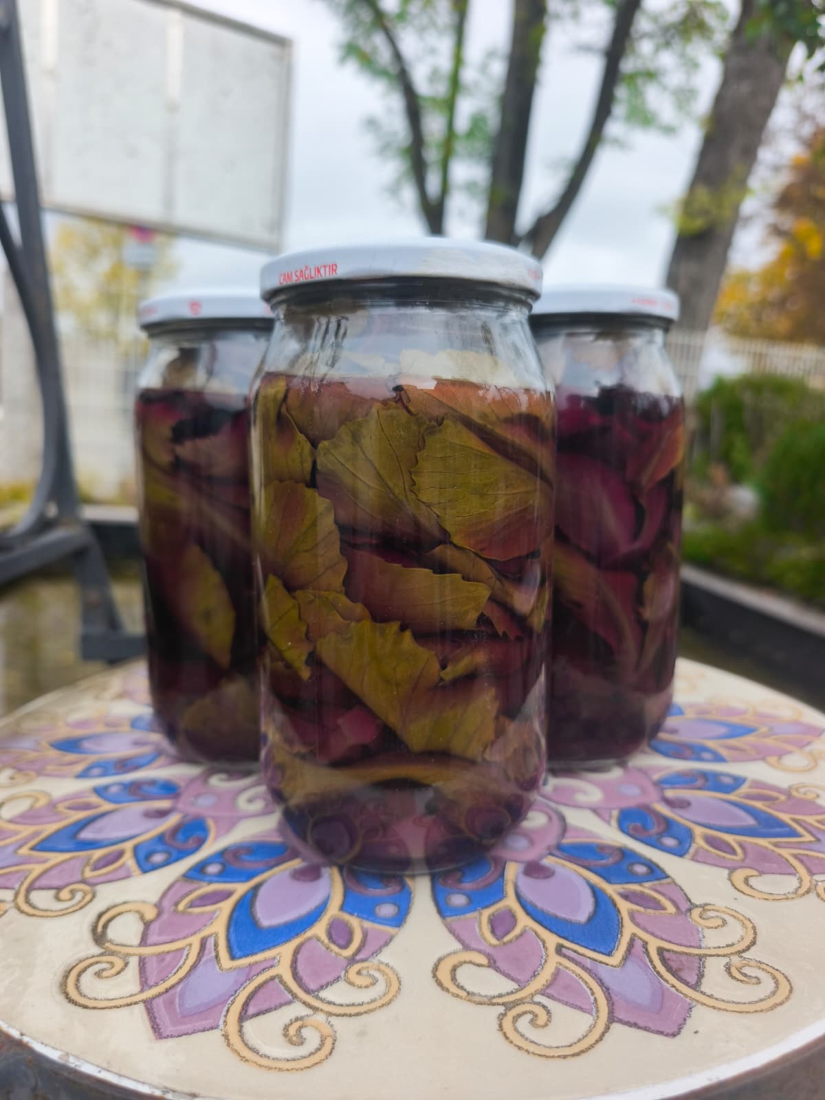 Eingelegte violette Kohlsprossen im Glas